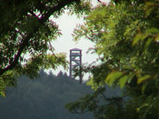 DSC00119.jpg